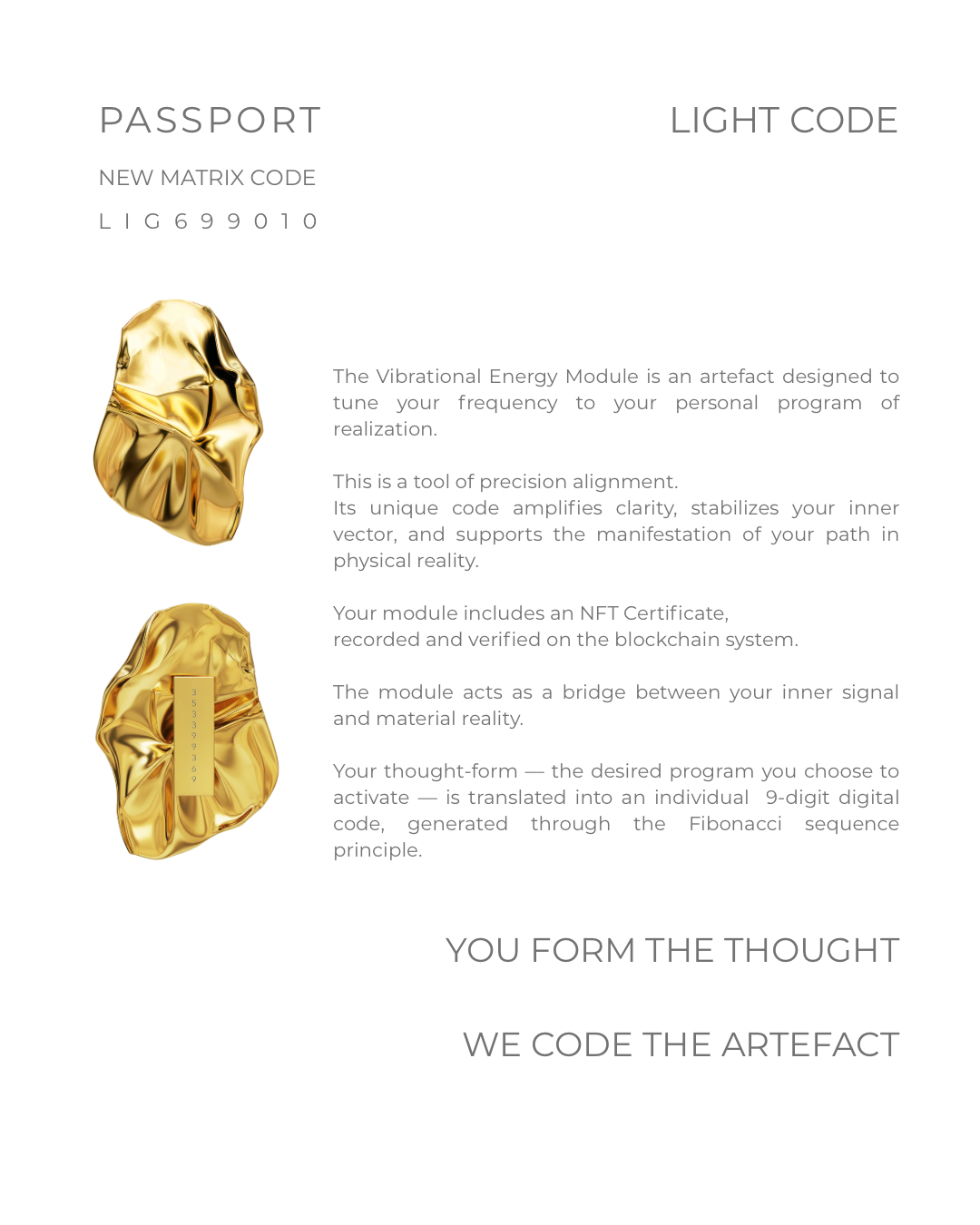 Light Code passport LIG699010